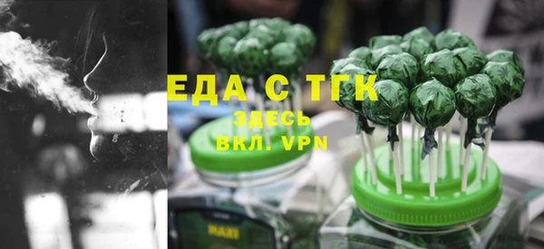 индика Верхний Тагил