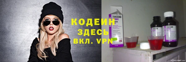 индика Верхний Тагил