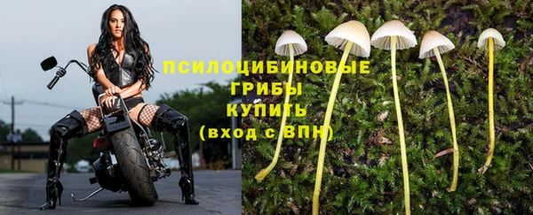индика Верхний Тагил