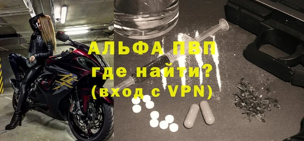 индика Верхний Тагил