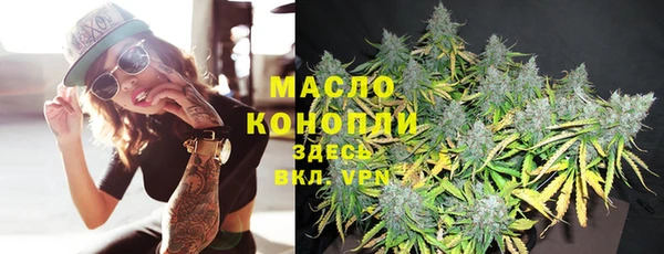 индика Верхний Тагил