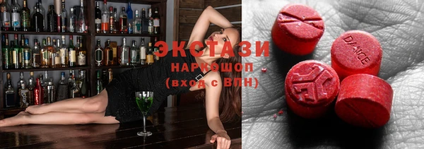 индика Верхний Тагил
