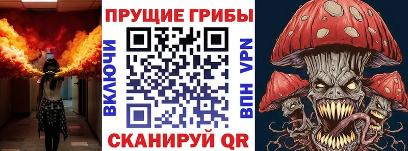 blacksprut зеркало  Вышний Волочёк  Галлюциногенные грибы прущие грибы 