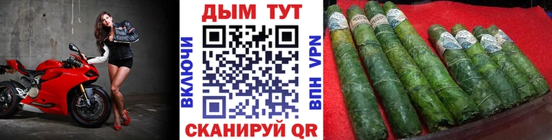Каннабис Ganja  Вышний Волочёк 